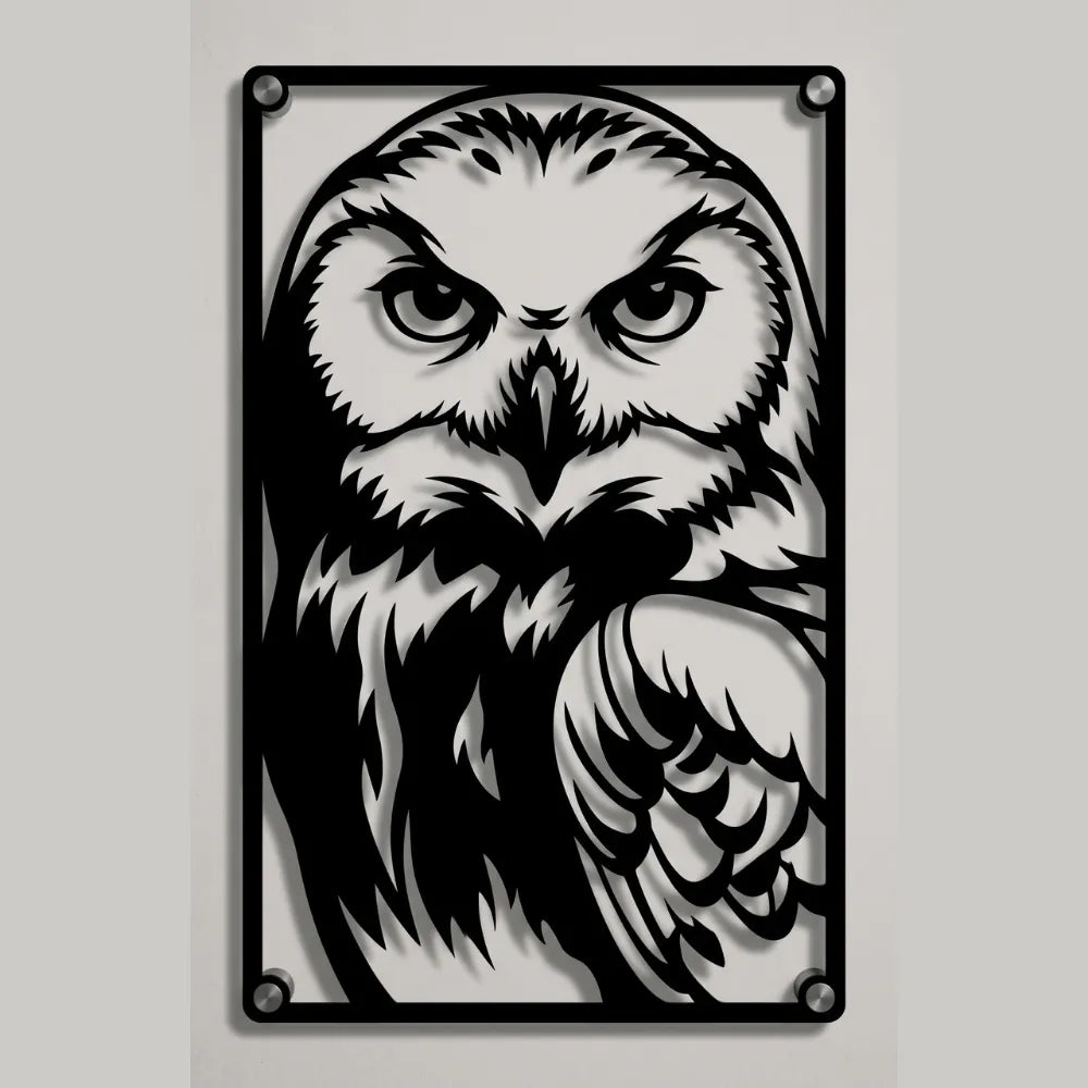 Cuadro Decorativo Cine Harry Potter Hedwig en Acero